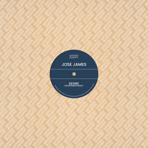 José James/Ben Westbeech - Brownswood Remix Edition 005